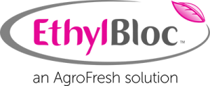 EthylBloc Logo