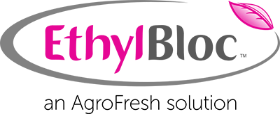 EthylBloc