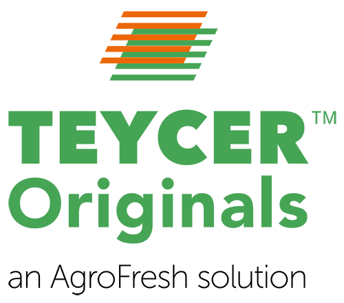 Teycer Originals