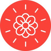 coral-bloom Bloom icon