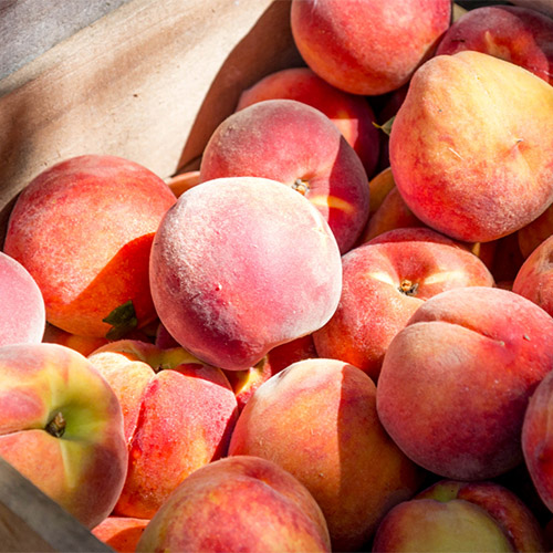 VitaFresh Botanical - Peaches
