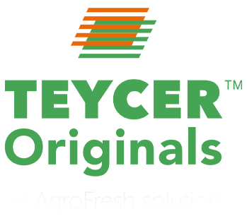 Teycer Originals logo