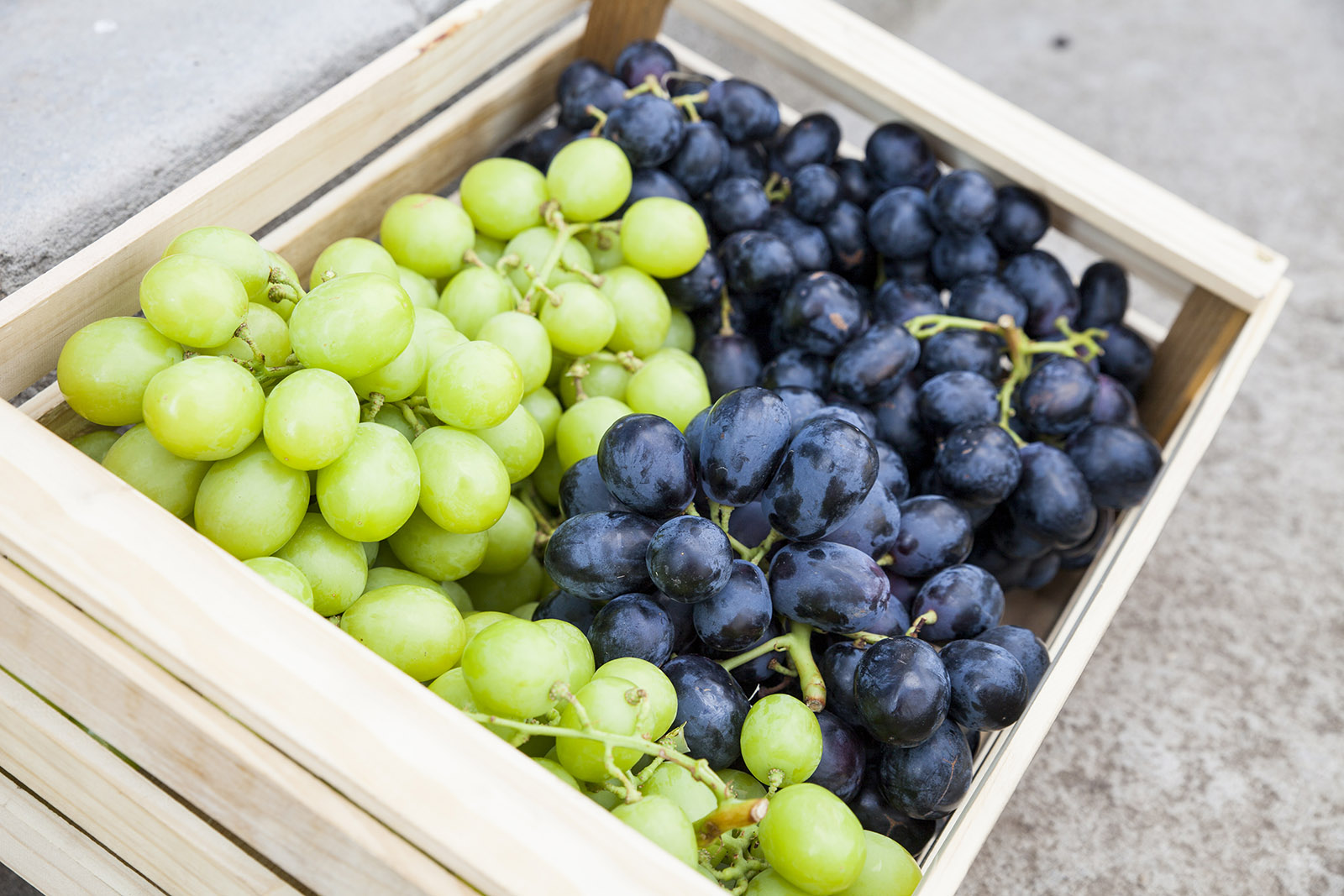 Grape Banner