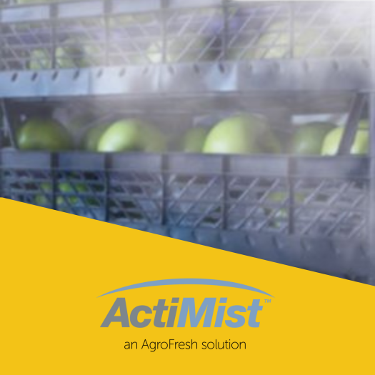 Solutions-actimist