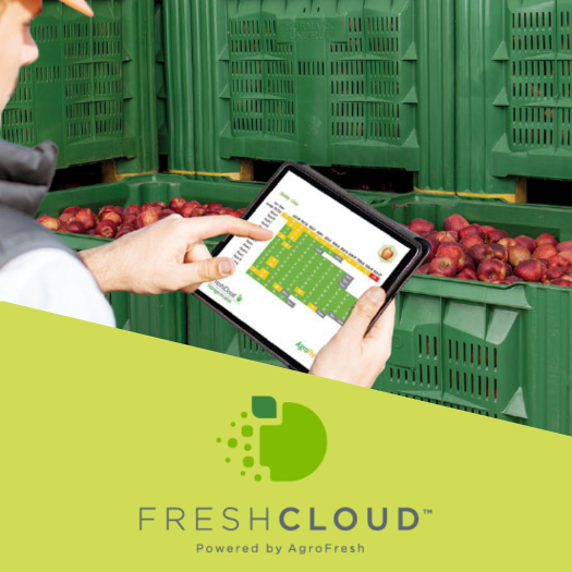 Solutions-freshcloud