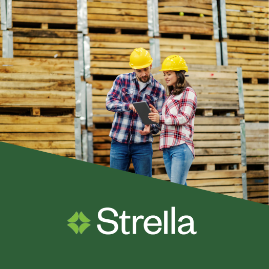 Strella design