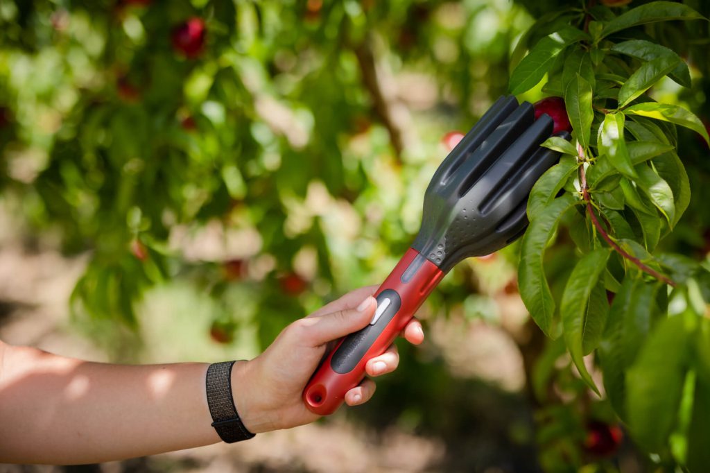 RUBENS_field-operation