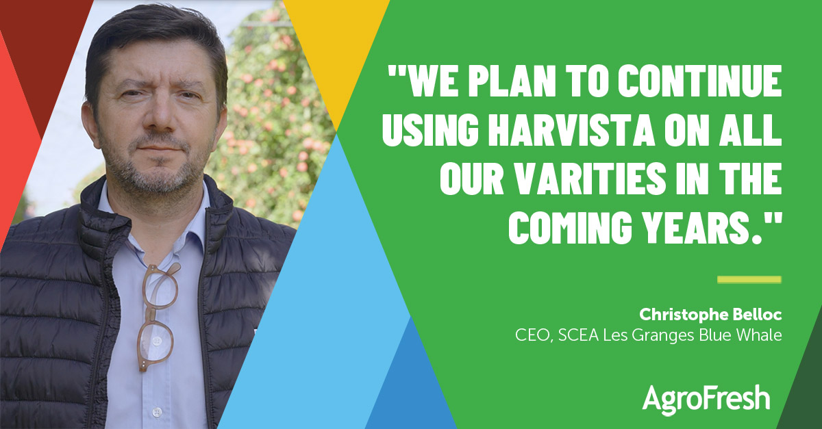 SCEA Les Granges Blue Whale Testimonial